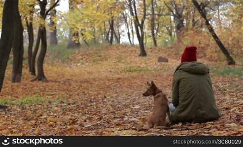 Portrait of beautiful woman with her dog in autumn park. Back view. Trendy hipster girl and cute doggy enjoying leisure in public park over gold autumn background. Young female and her puppy sitting on fallen leaves in public park.