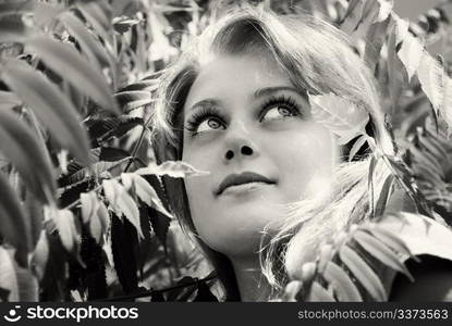 portrait of beautiful young women in nature