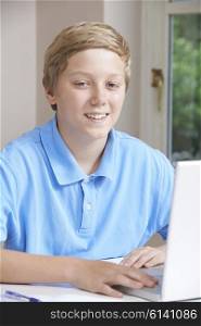 Portrait Of Boy Using Laptop At Home