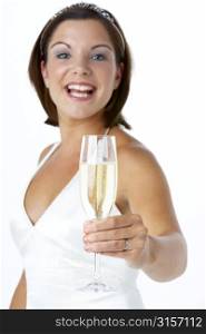 Portrait Of Bride Toasting With Wine Glass