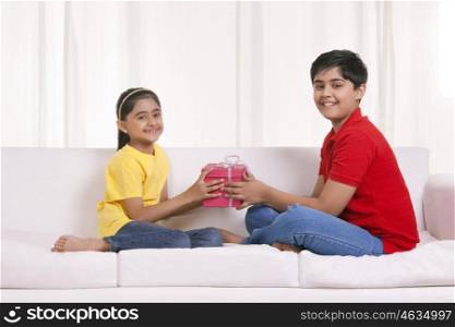 Portrait of brother and sister holding gift box