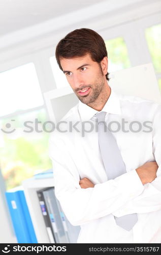 Portrait of businessman standing in office