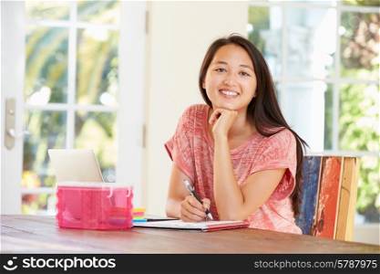 Portrait Of Businesswoman Working In Office At Home