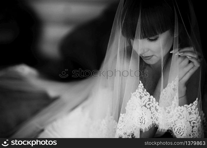 Portrait of charming bride enveloped in a veil. Black and white picture of beuatiful bride hidden under the veil. Close up. Wedding morning. Portrait of charming bride enveloped in a veil. Black and white picture of beuatiful bride hidden under the veil. Close up. Wedding morning.