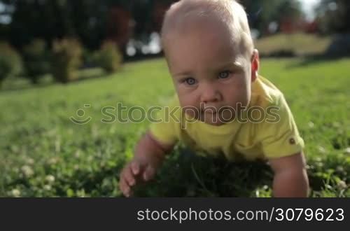 Portrait of cheerful blond infant child with blue eyes crawling on green grass in summer park. Closeup. Smilling toddler baby boy learning to crawl on grassy lawn in sunlight while family spending time together outdoors. Slow motion. Stabilized shot.