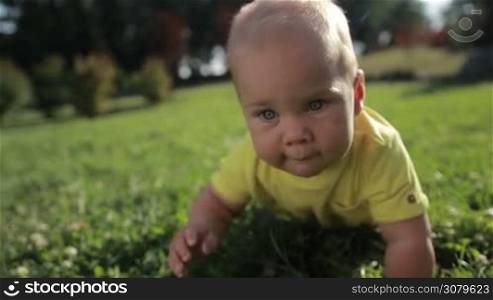 Portrait of cheerful blond infant child with blue eyes crawling on green grass in summer park. Closeup. Smilling toddler baby boy learning to crawl on grassy lawn in sunlight while family spending time together outdoors. Slow motion. Stabilized shot.
