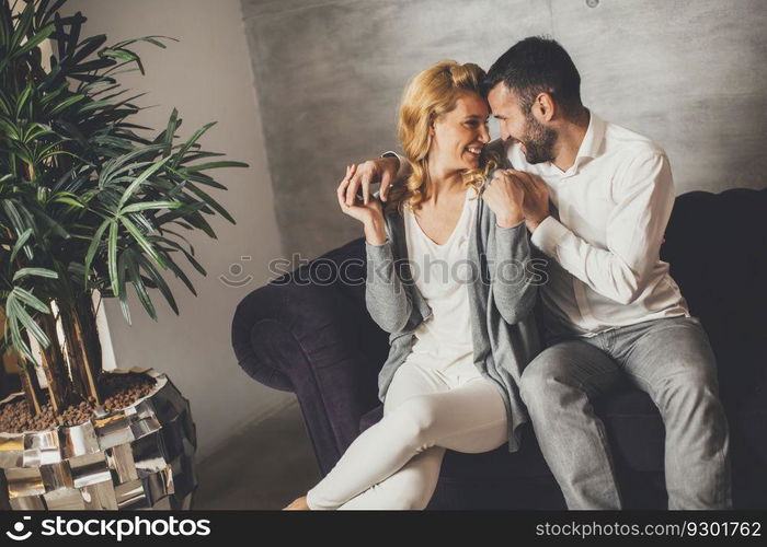 Portrait of cheerful couple sitting in sofa at home