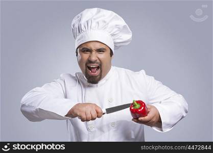 Portrait of chef cutting capsicum with knife