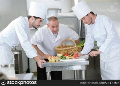 portrait of chefs at work