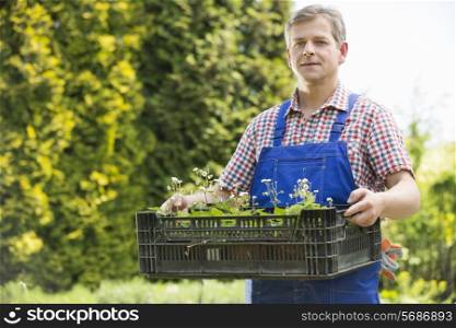 Portrait of confident gardener holding crate of potted plants