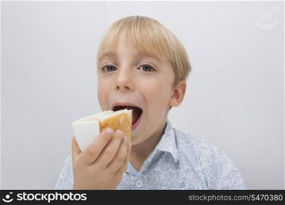 Portrait of cute boy eating cake slice against gray background