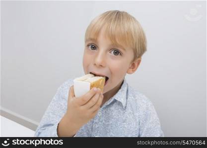 Portrait of cute boy eating cake slice in house