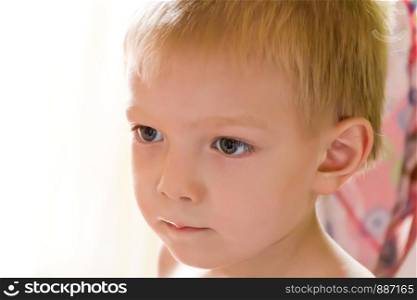 Portrait of cute boy with blond hair