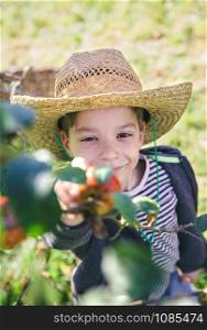 Portrait of cute happy kid with hat picking fresh organic apples from the tree. Nature and childhood concept. . Happy kid with hat picking apples from tree