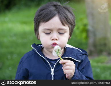 Portrait of Cute Kid blowing dandelion with blurry gree natural background, Active Child boy playing outdoor in the park in Spring.
