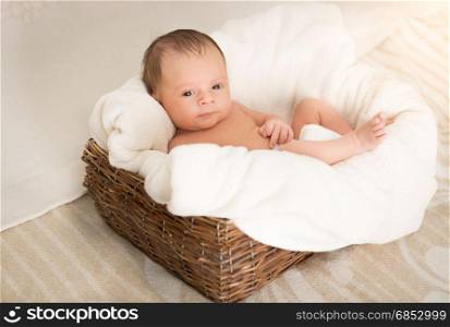 Portrait of cute newborn baby boy lying in big wicker basket