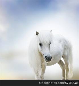 Portrait Of Cute White Pony