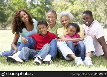 Portrait Of Extended Family Group In Park