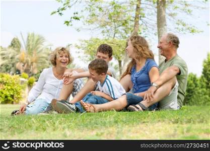 Portrait of extended family relaxing on sunny day in park and having good time