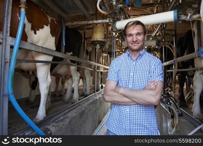 Portrait Of Farmer With Cattle In Milking Shed