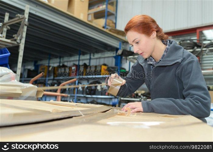 portrait of female carpenter working