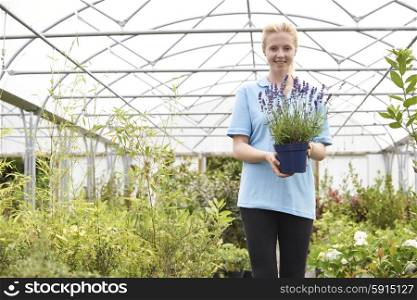 Portrait Of Female Employee At Garden Center Holding Plant