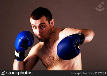 portrait of fighter in boxing pose on gray background
