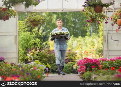 Portrait of gardener carrying crate with flower pots while entering greenhouse