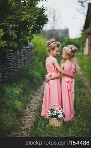 Portrait of girls on a country path.. Childrens portrait girlfriends in a pink dress in the garden 6617.