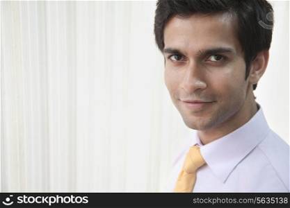 Portrait of good looking businessman smiling in office