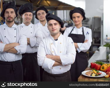 Portrait of group chefs standing together in commercial kitchen at restaurant. Portrait of group chefs