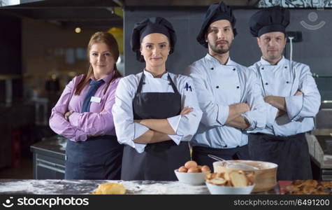 Portrait of group chefs standing together in commercial kitchen at restaurant. Portrait of group chefs