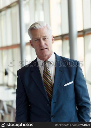portrait of handsome senior business man at modern office interior