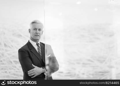 portrait of handsome senior business man at modern office meeting room interior