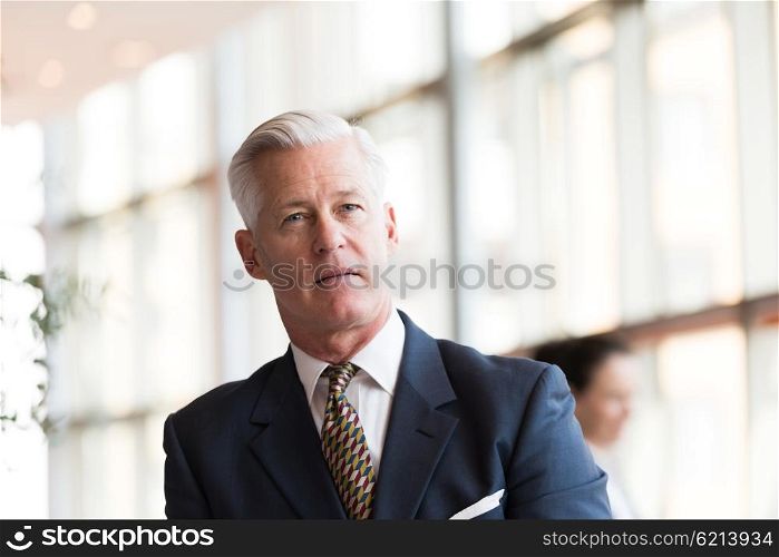 portrait of handsome senior business man with grey hait at modern bright office interior