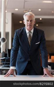 portrait of handsome senior business man with grey hait at modern bright office interior
