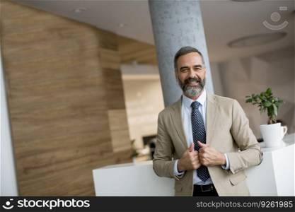 Portrait of handsome senior businessman in the office