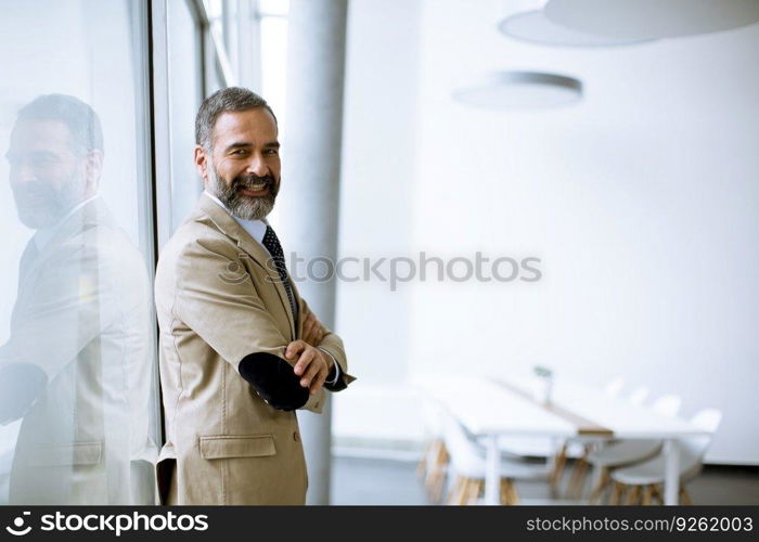 Portrait of handsome senior businessman in the office