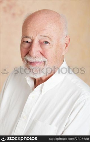 Portrait of handsome, wise looking senior man.