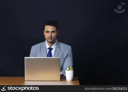 Portrait of handsome young businessman using laptop in office