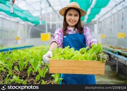 Portrait of happy Asian woman farmer holding basket of fresh vegetable salad in an organic farm in a greenhouse garden, Concept of agriculture organic for health, Vegan food and Small business.
