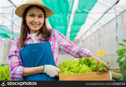Portrait of happy Asian woman farmer holding basket of fresh vegetable salad in an organic farm in a greenhouse garden, Concept of agriculture organic for health, Vegan food and Small business.