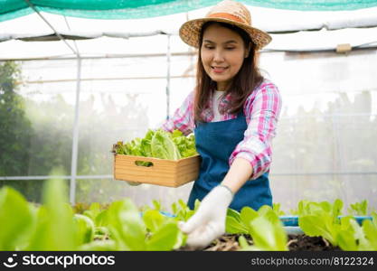 Portrait of happy Asian woman farmer holding basket of fresh vegetable salad in an organic farm in a greenhouse garden, Concept of agriculture organic for health, Vegan food and Small business.