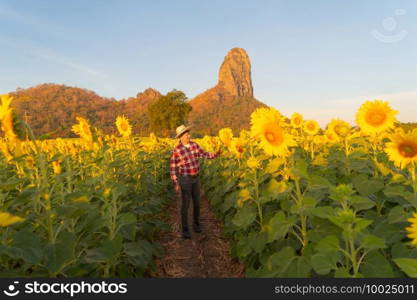 Portrait of happy farmer man checking sunflower crops in agriculture field outdoor at natural garden park in Lopburi province, Thailand. Nature landscape background.