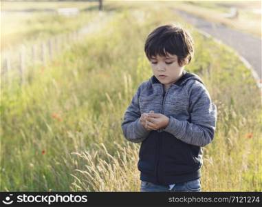 Portrait of happy little boy with smiling holding wild flowers, Active kid having fun playing in Autumn field . Child playing outdoor with blurry natural background. Positive children