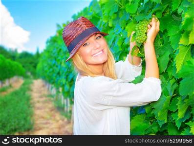 Portrait of happy smiling woman picking fresh tasty grape, working on fruit plantation, autumnal harvest season, successfully farming concept