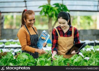 Portrait of Happy Young Asian girls farmer checking fresh green oak lettuce salad, organic hydroponic vegetable in nursery farm. Business and organic hydroponic vegetable concept.