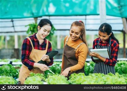 Portrait of Happy Young Asian girls farmer checking fresh green oak lettuce salad, organic hydroponic vegetable in nursery farm. Business and organic hydroponic vegetable concept.