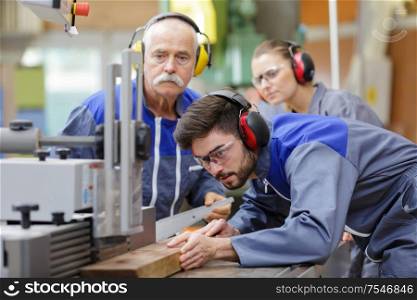 portrait of industrial carpentry workers