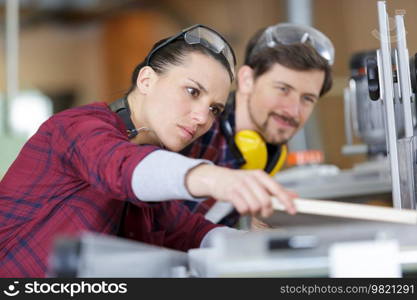 portrait of industrial technicians in wood factory